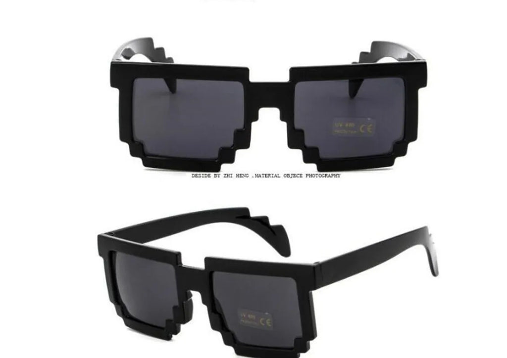 Minecraft Sunglasses  with EVA case
