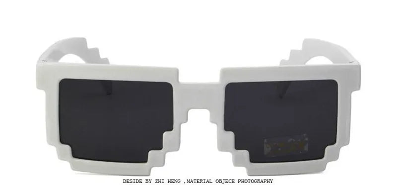 Minecraft Sunglasses  with EVA case