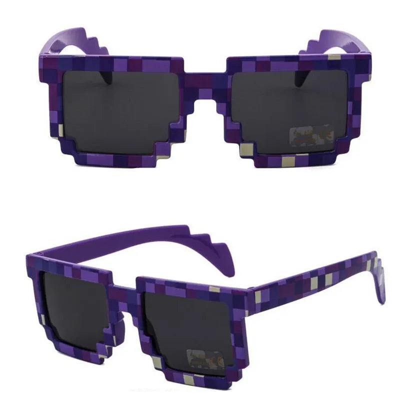 Minecraft Sunglasses  with EVA case